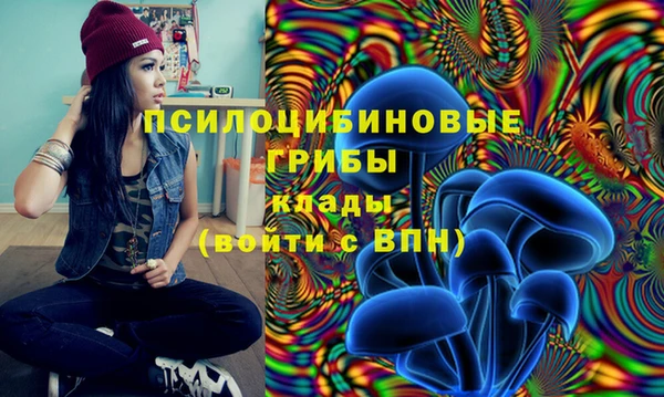 молекула духа Краснотурьинск