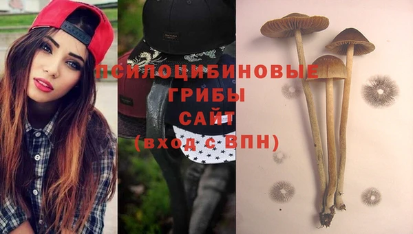 не бодяженный Краснослободск