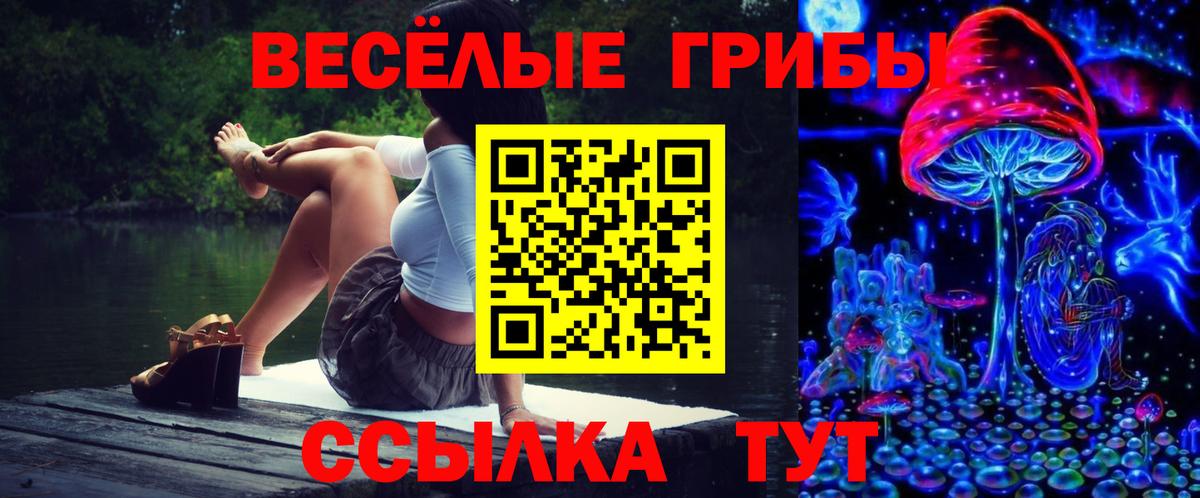 Галлюциногенные грибы Psilocybine cubensis Домодедово